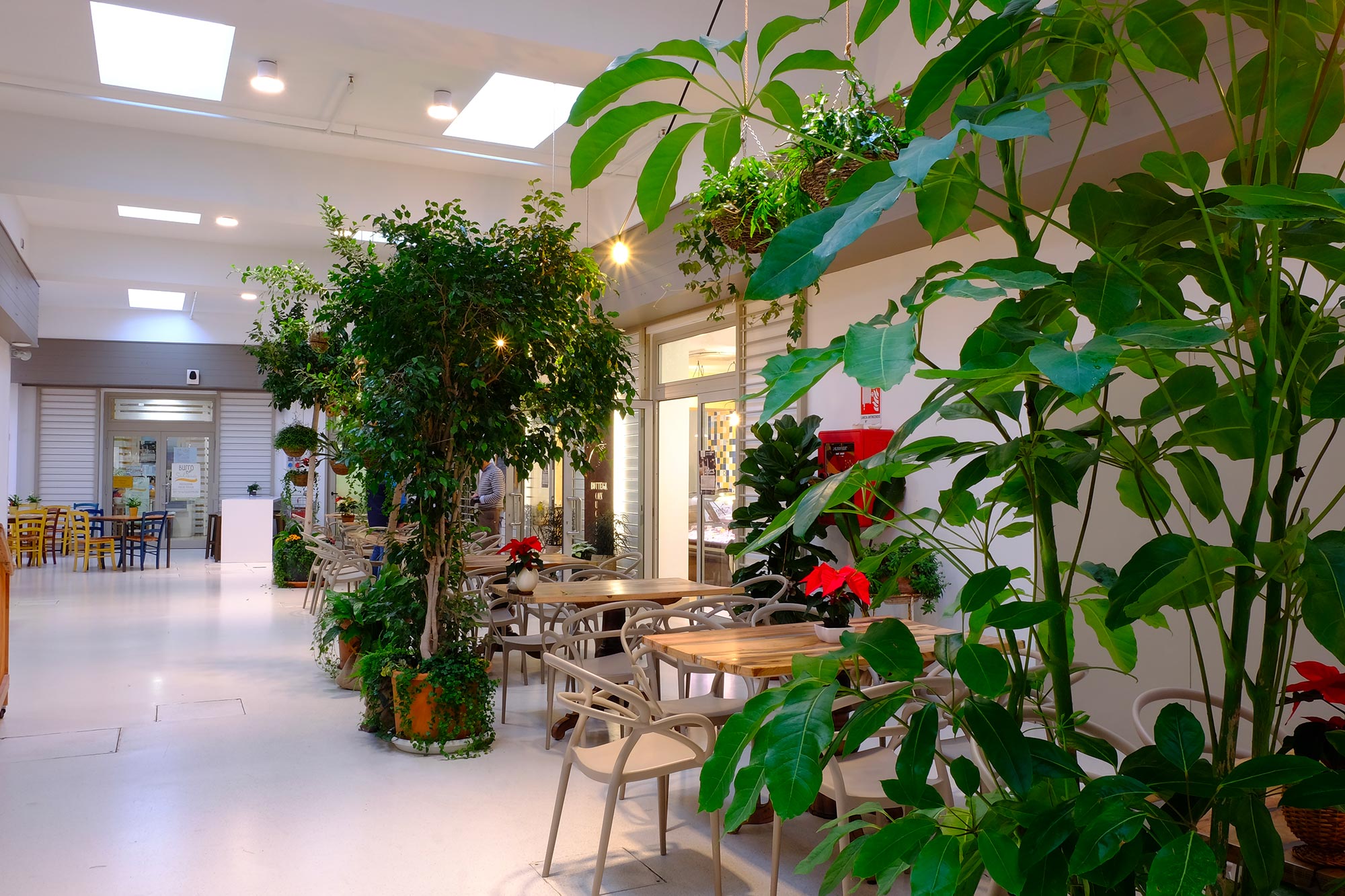 切塞纳(CESENA)覆盖市场:ZEROMAX辐射地板为您带来温暖和热情(图7)